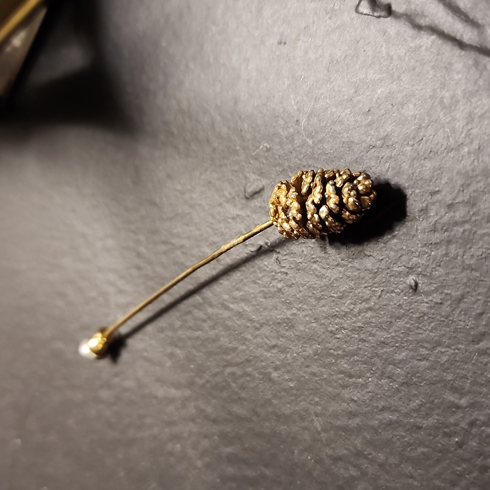 Vintage Pinecone fashion pin